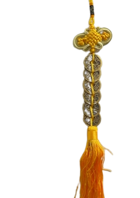 6_Coins_on_Yellow_tassel-removebg-preview (1)