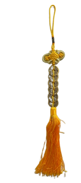 6_Coins_on_Yellow_tassel-removebg-preview (1)